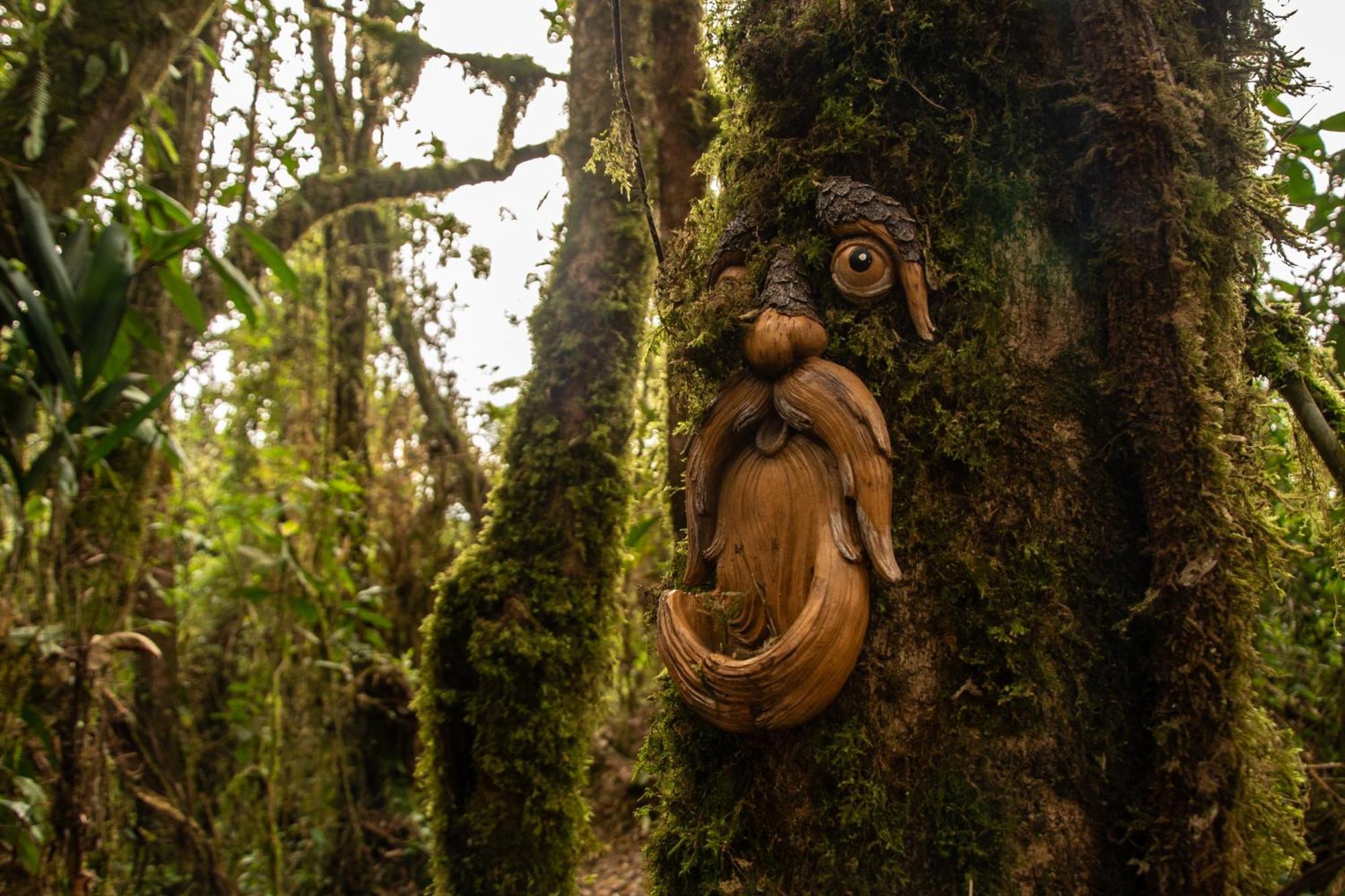 Owl'S Watch At Rio Blanco Villa Manizales Dış mekan fotoğraf