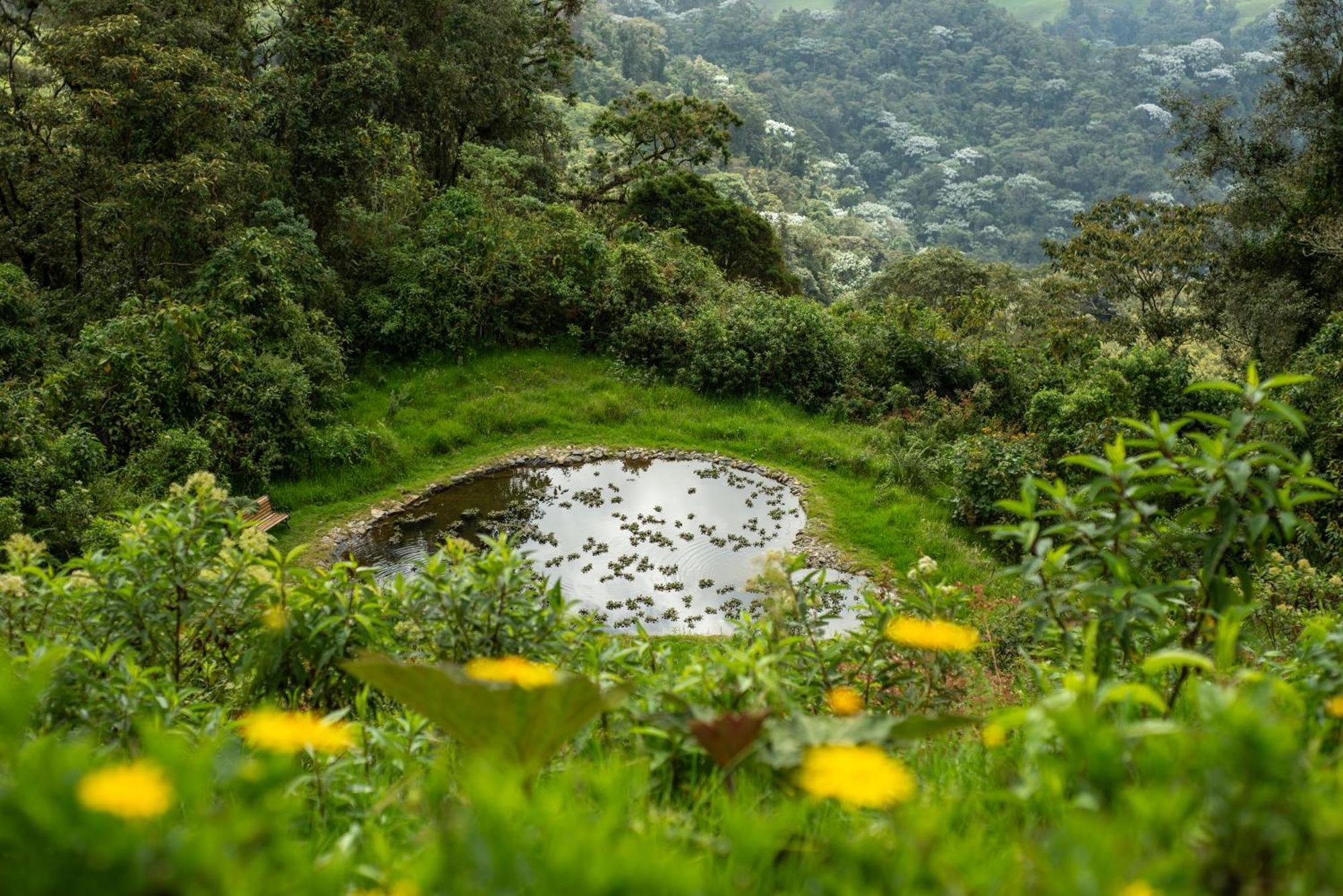 Owl'S Watch At Rio Blanco Villa Manizales Dış mekan fotoğraf